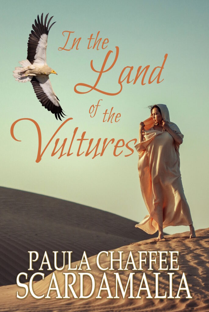 In the Land of the Vultures cover